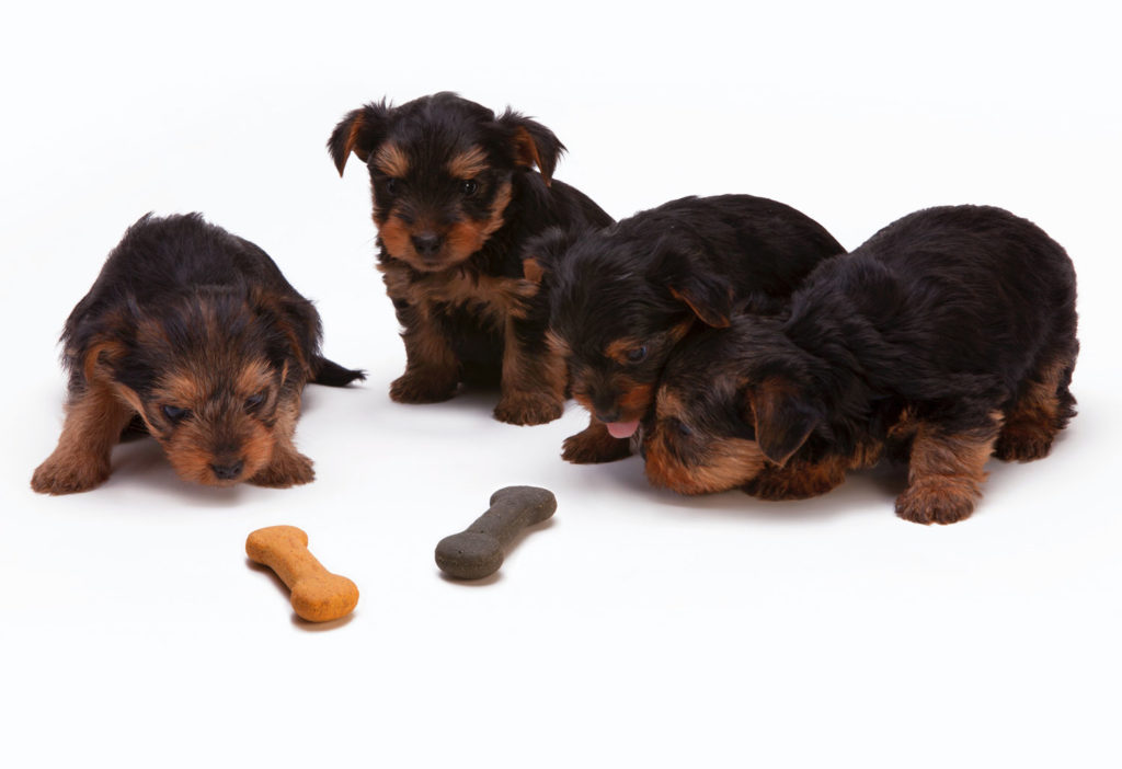 4 Reasons why your business needs direct mail. Now.